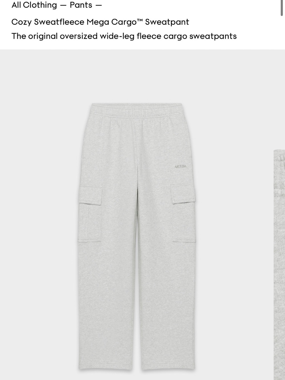 Aritzia Sweatfleece Mega Cargo Sweatpants